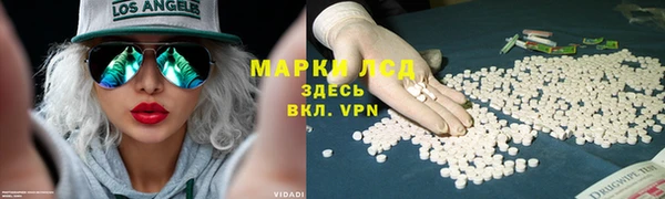 гидропоника Дмитровск