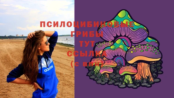 синтетический гашиш Дмитриев