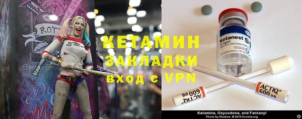 хмурый Аша