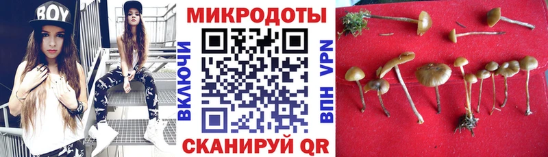 MEGA рабочий сайт  Ермолино  shop Telegram  Галлюциногенные грибы Magic Shrooms 
